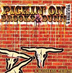 ladda ner album Various - Pickin On Brooks And Dunn