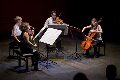 Mivos Quartet