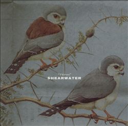 lataa albumi Shearwater - Thieves