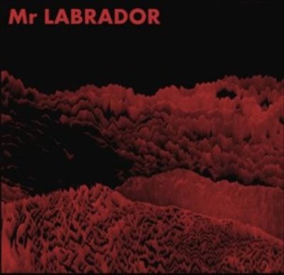 Mr Labrador