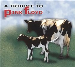 descargar álbum Various - A Special Tribute To Pink Floyd