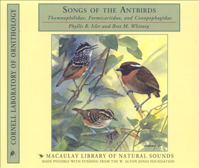 Songs of the Antbirds