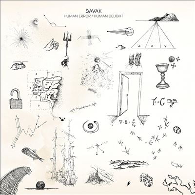 Human Error/Human Delight