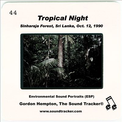 Tropical Night: Sinharaja Forest, Sri Lanka, Oct 12, 1990
