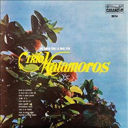 Album herunterladen Trio Matamoros - Yo Bailo Con La Mas Fea