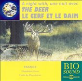 A Night With The Deer