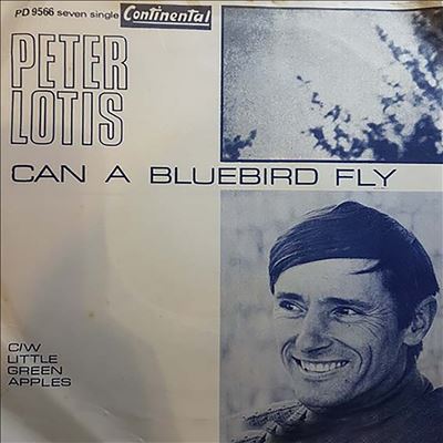 Can a Bluebird Fly?