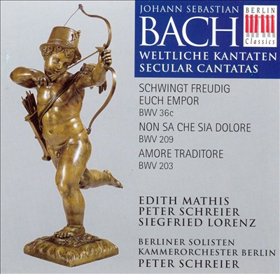 Bach: Secular Cantatas BWV 36c, BWV 209, BWV 203