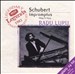 Schubert: Impromptus, D899 & D935