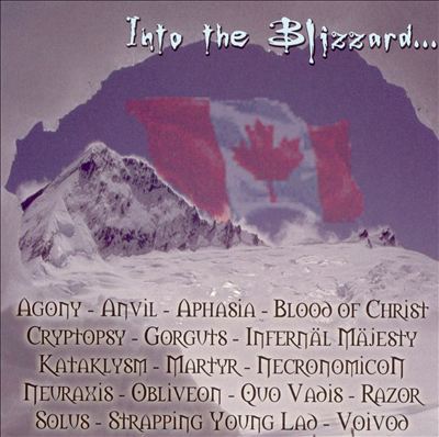 Into the Blizzard Canadian Assault