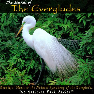 The Sounds of the Everglades: Beautiful Music & the Natural Symphony of the Everglades