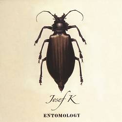 télécharger l'album Josef K - Entomology