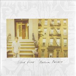 last ned album Steve Gunn - Boerum Palace