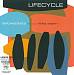 Lifecycle