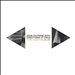 Both Directions at Once: The Lost Album