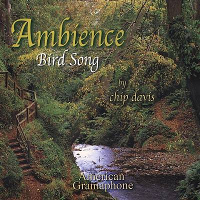 Bird Song: Ambience