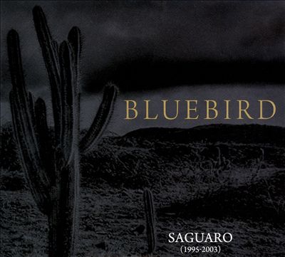 Saguaro (1995-2003)