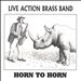 Horn to Horn