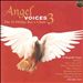 Angel Voices, Vol. 3