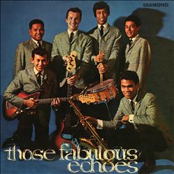 last ned album The Fabulous Echoes - Those Fabulous Echoes