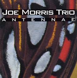 descargar álbum Joe Morris Trio - Antennae