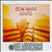 Ocean Avenue Acoustic