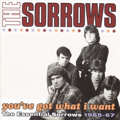 You've Got What I Want: Essential Sorrows 1965-67