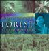 Mystic Soundscapes: Forest