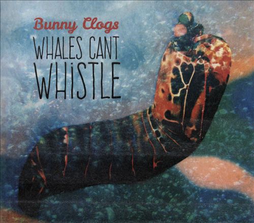 Whales Can't Whistle