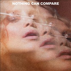 ladda ner album Agnes - Nothing Can Compare