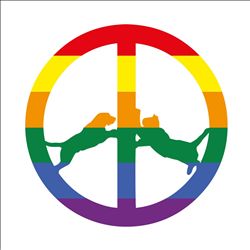 baixar álbum Hype Williams - Rainbow Edition