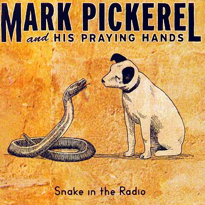 Snake in the Radio