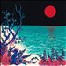 The First Glass Beach Album