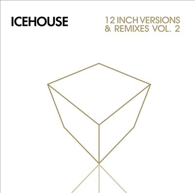12" Versions & Remixes, Vol. 2