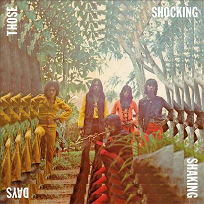 Those Shocking Shaking Days: Indonesian Hard Psychedelic Progressive Rock & Fun
