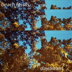 last ned album Beach Fossils - Daydream