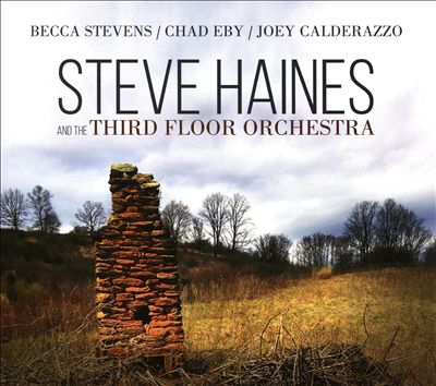 Steve Haines and the Third Floor Orchestra