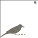 13 Japanese Birds, Vol. 9: Hyodori