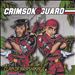 Clan of Arashikage