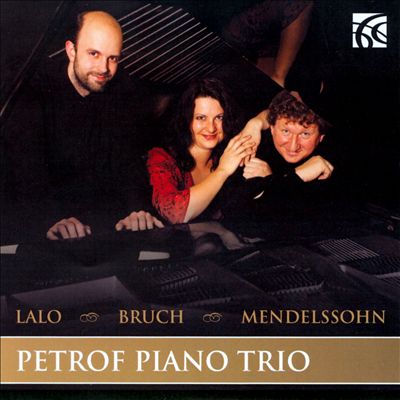 Piano Trio No. 1 in D minor, Op. 49, MWV Q29
