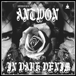 télécharger l'album Antwon - In Dark Denim