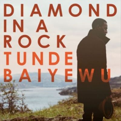 Diamond in a Rock