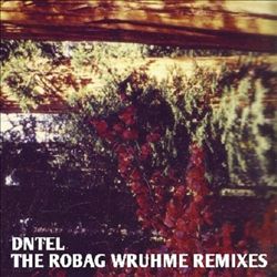 last ned album Dntel - The Robag Wruhme Remixes