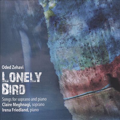 Oded Zehavi: Lonely Bird