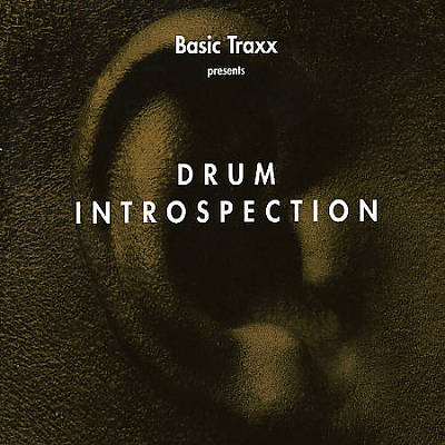 Drum Introspection