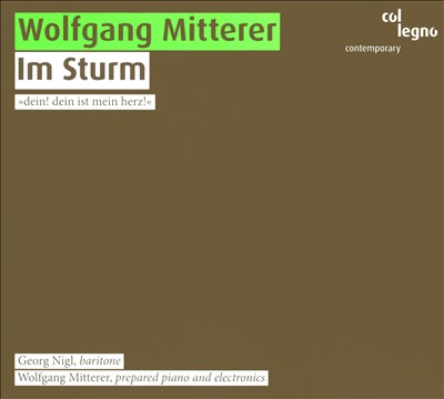 Wolfgang Mitterer: Im Sturm