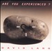 David Lang: Are You Experienced?
