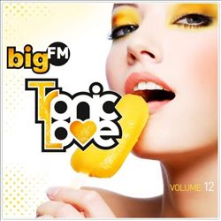 ladda ner album Various - BigFM Tronic Love Volume 11