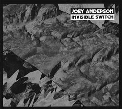 Album herunterladen Joey Anderson - Invisible Switch