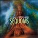 Sequoias: The Music of Jeffrey Jacob